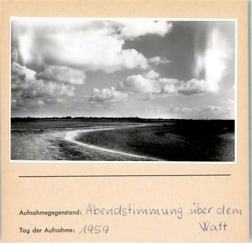 Watt Foto montiert auf Karton Natur FOTO KEINE AK