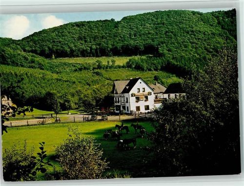 Dies Gasthof Bruchhäuser Mühle Pferde