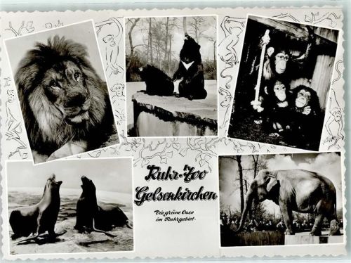 Gelsenkirchen Ruhr-Zoo Löwe Bären Schimpansen Seelöwen Elefant