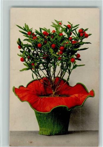 1910 Blumen Farbenlichtdruck Nr. 688 AK