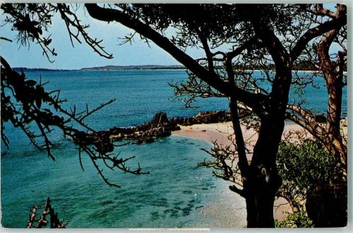 1965 Carol Beach AK