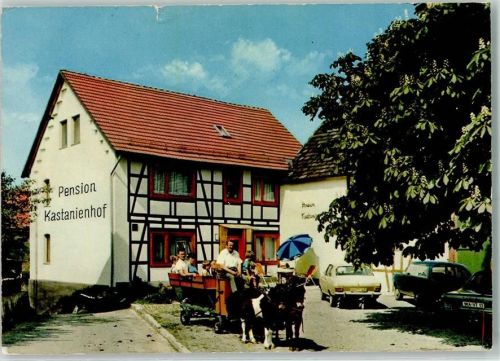 Ottlar Rückseite mit Abschürfungen und Kleberesten Pension Kastanienhof Ponykutsche