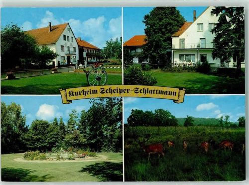 Bad Laer Kurheim Scheiper-Schlattmann Wildgehege Hirsch Rehe