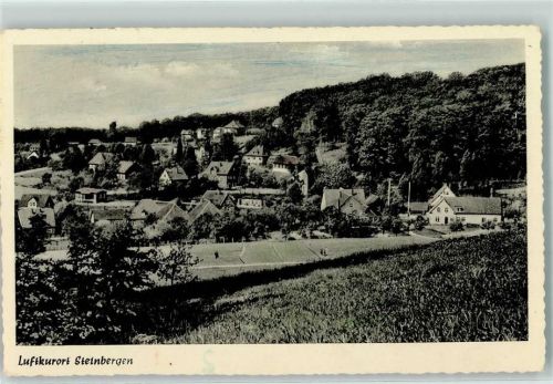 Steinbergen Rückseite mit Abschürfungen bzw Kleberesten