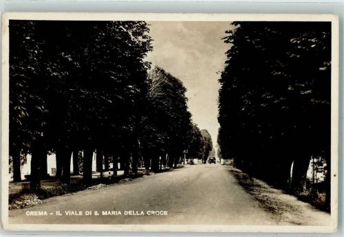 26013 Crema 1939 Foto AK Il Viale di S. Maria della Croce AK