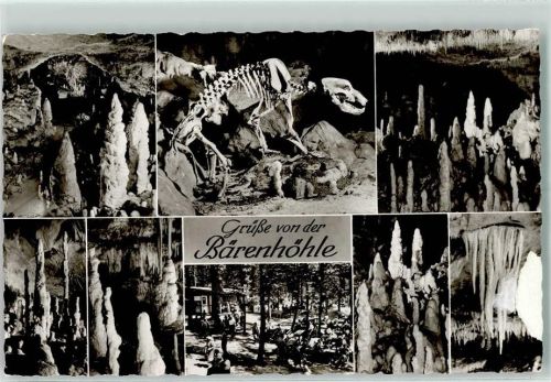 Erpfingen Bärenhöhle Innenaufnahmen Bären-Skelett