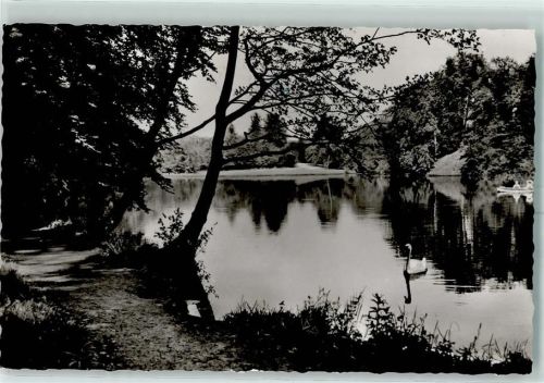 Burgsteinfurt Seepartie Schwan