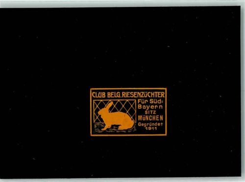 München Club belg. Riesenzüchter