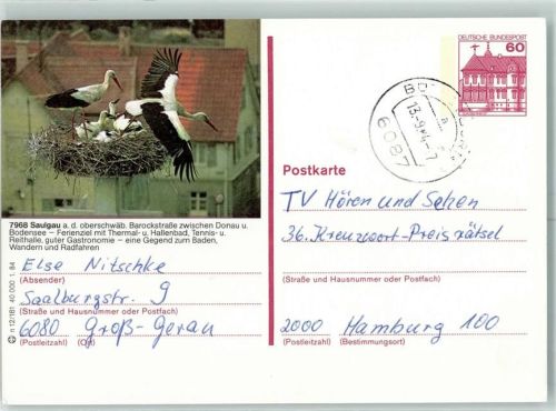 Saulgau Postkarte Störche