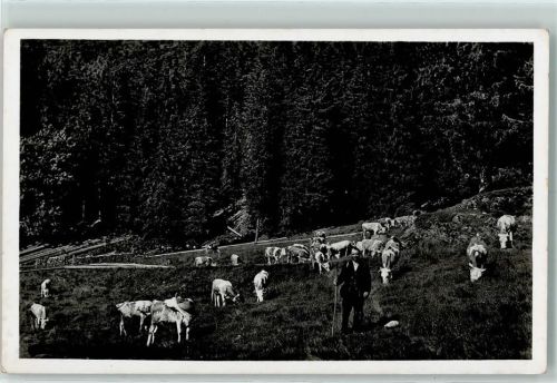 Belchen