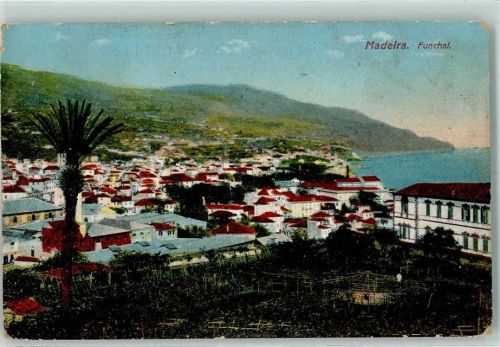 Funchal 1919 Vue generale