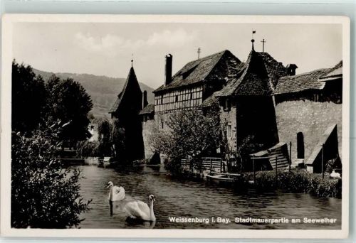 Weißenburg Stadtmauer Seeweiher Schwäne