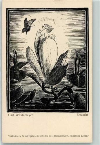 sign. Carl Weidemeyer Schmetterling Engel AK