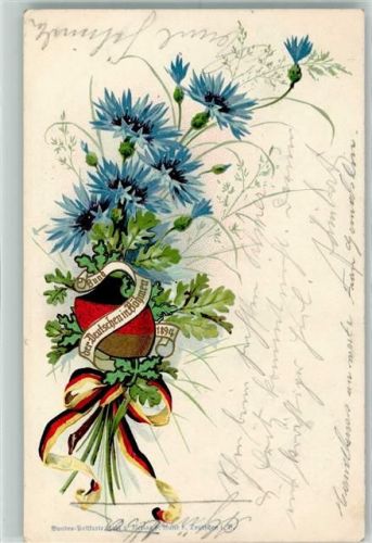 1908 Kornblumen AK