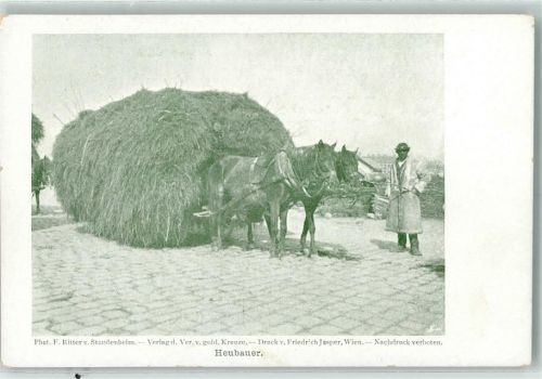 1900 Landwirtschaft Heuernte AK