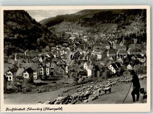 Schramberg Schäfer mit Schafherde