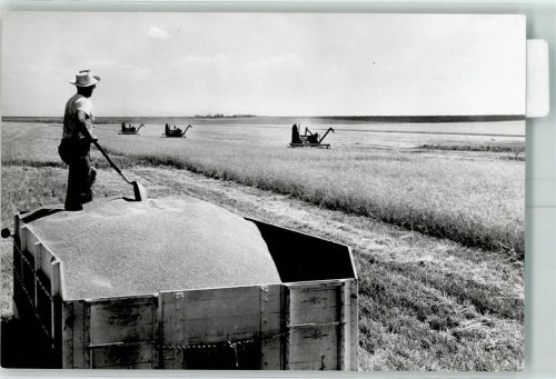 Weizenernte Landwirtschaft