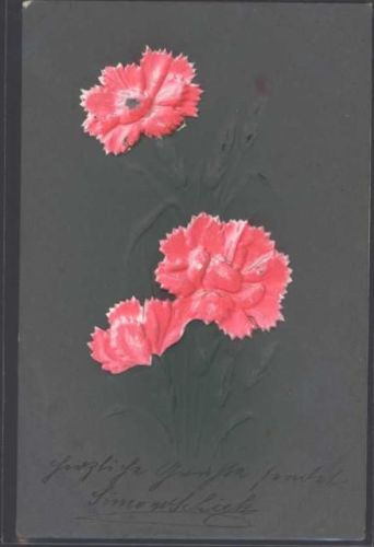 1903 Blumen AK