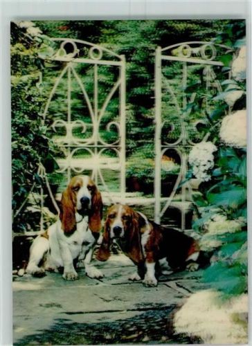 Basset Schmiedezaun Hortensien TP-208