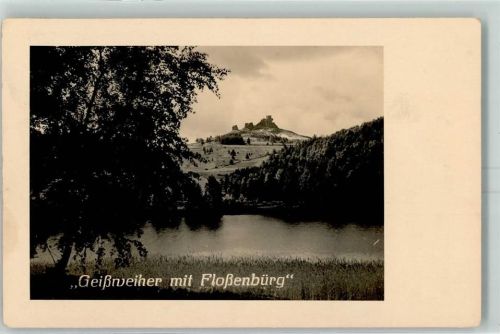 Weiden Geißweiher mit Floßenbürg