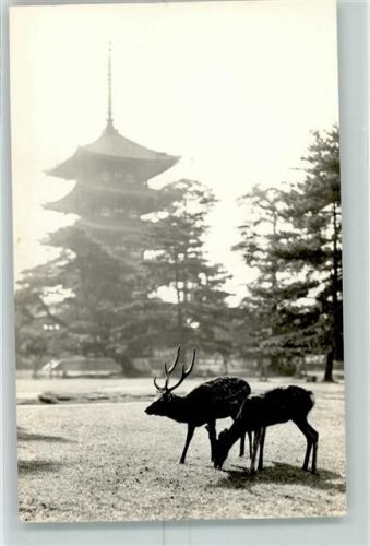 Nara Tempel