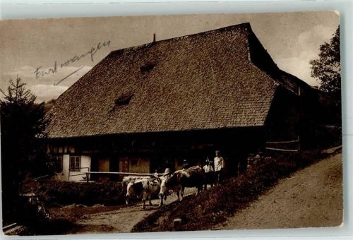 Furtwangen Bauernhof