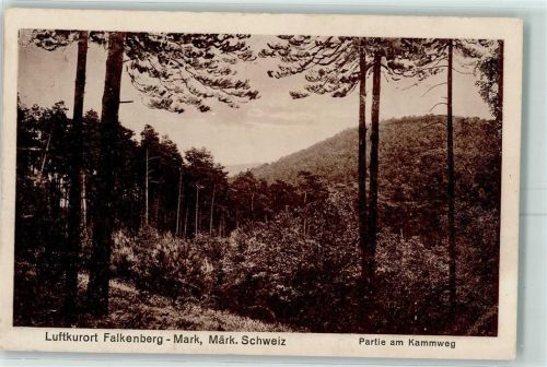 Falkenberg Am Kammweg