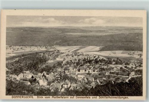 Dannenfels Blick vom Moltkefelsen auf Dannenfels und Schillerhainwaldungen