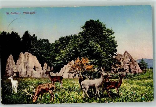 St. Gallen Wildpark Peter und Paul Rotwild