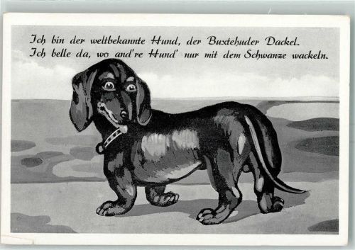 Buxtehude 1956 Weltbekannt Hund, der Buxtehuder Dackel AK