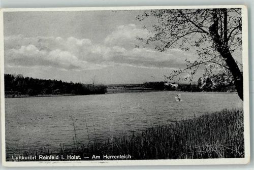 Reinfeld Herrenteich Baumblüte
