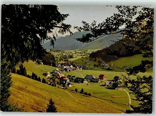 Menzenschwand