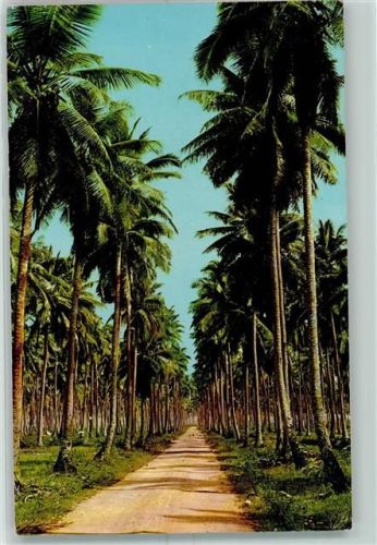 Suva Palmenplantage Ort lt. Verlag