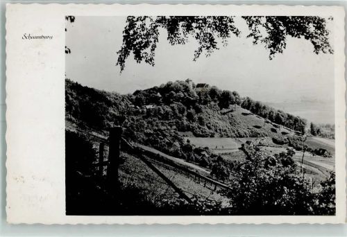 Schaumburg Burg Schaumburg Foto AK