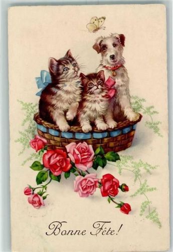 Bonne Fete Terrier Schmetterling Rosen AK