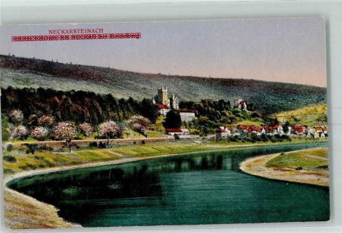 Neckarsteinach