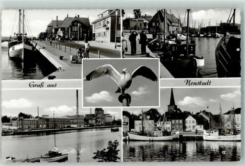 Neustadt Fischerboot Hafen Segelboot Möwe Kinderwagen