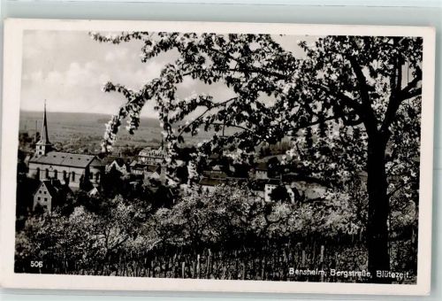 Bensheim Blütezeit Bergstraße