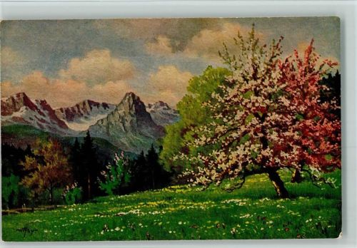 Nr. 1310 von W. Hoy - Frühling im Gebirge
