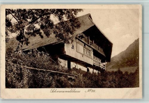 Schwarzwaldhäuser Nr. 26 AK