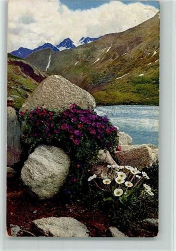 1914 Alpenflora - Serie 518 Nr. 891 Photochromie
