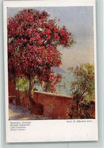 Karl M. Schuster Nr. 1885 AK