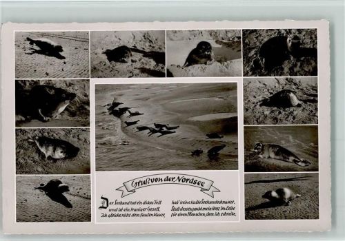 Burhave 1961 Gedicht auf den Seehund - versch. Abbildungen von der Nordsee
