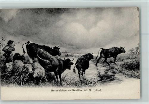 Nr. 49 Verlag Brunner & Co , Hirte mit Schafe und Kühe , gute Erhaltung