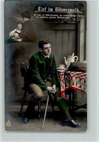 Verlag Photochemie Serie 7971 - Tief im Böhmerwald AK
