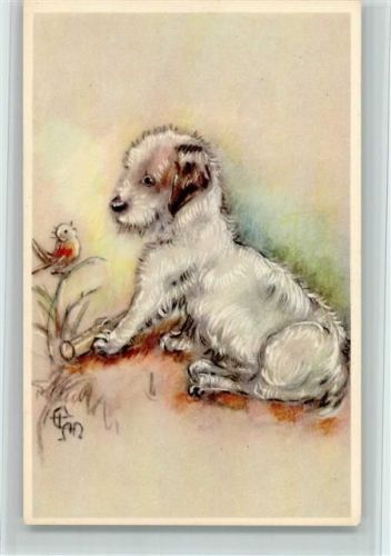 Künstlerkarte - Vogel und Hund , gute Erhaltung