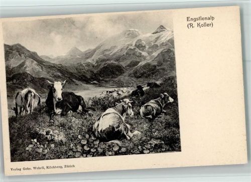 Engstlenalp , Kühe ca 1900 AK