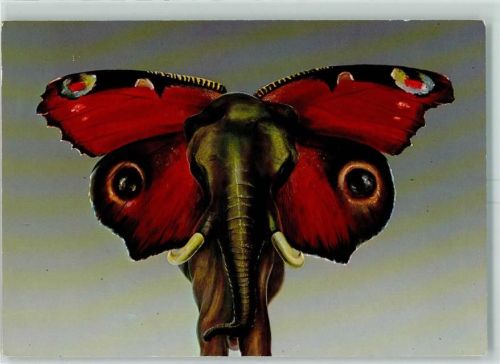 von Rudolf Zündel Elephantine 1973 Öl-Tempera Schmetterling Metamorphose