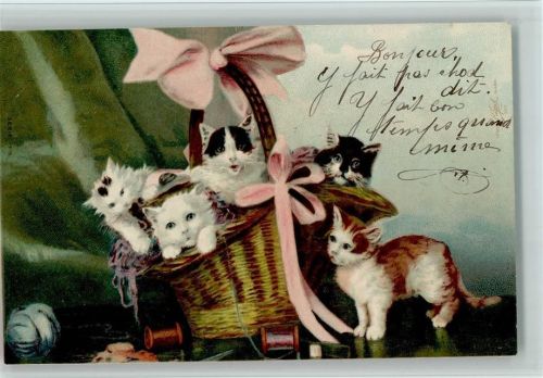 1901 Kleine Kätzchen im Korb AK
