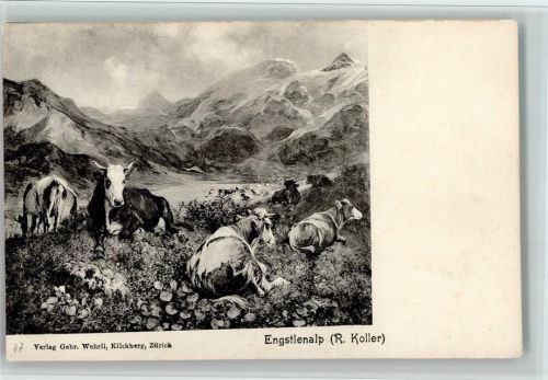 Nr. 27 Verlag Brunner & Co -Engstlalp - Kühe